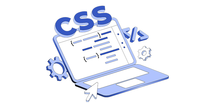 web-development-custom